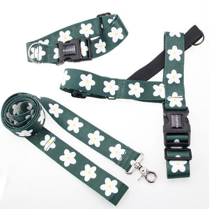 Experience the Joy of Walks with Our Vest Style Pet Leash